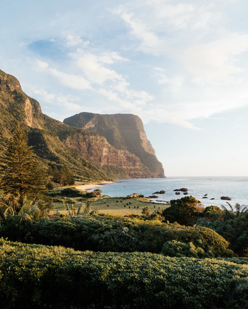 Advisor - A Paradise Left Entirely Wild: A Luxury Guide to Lord Howe Island