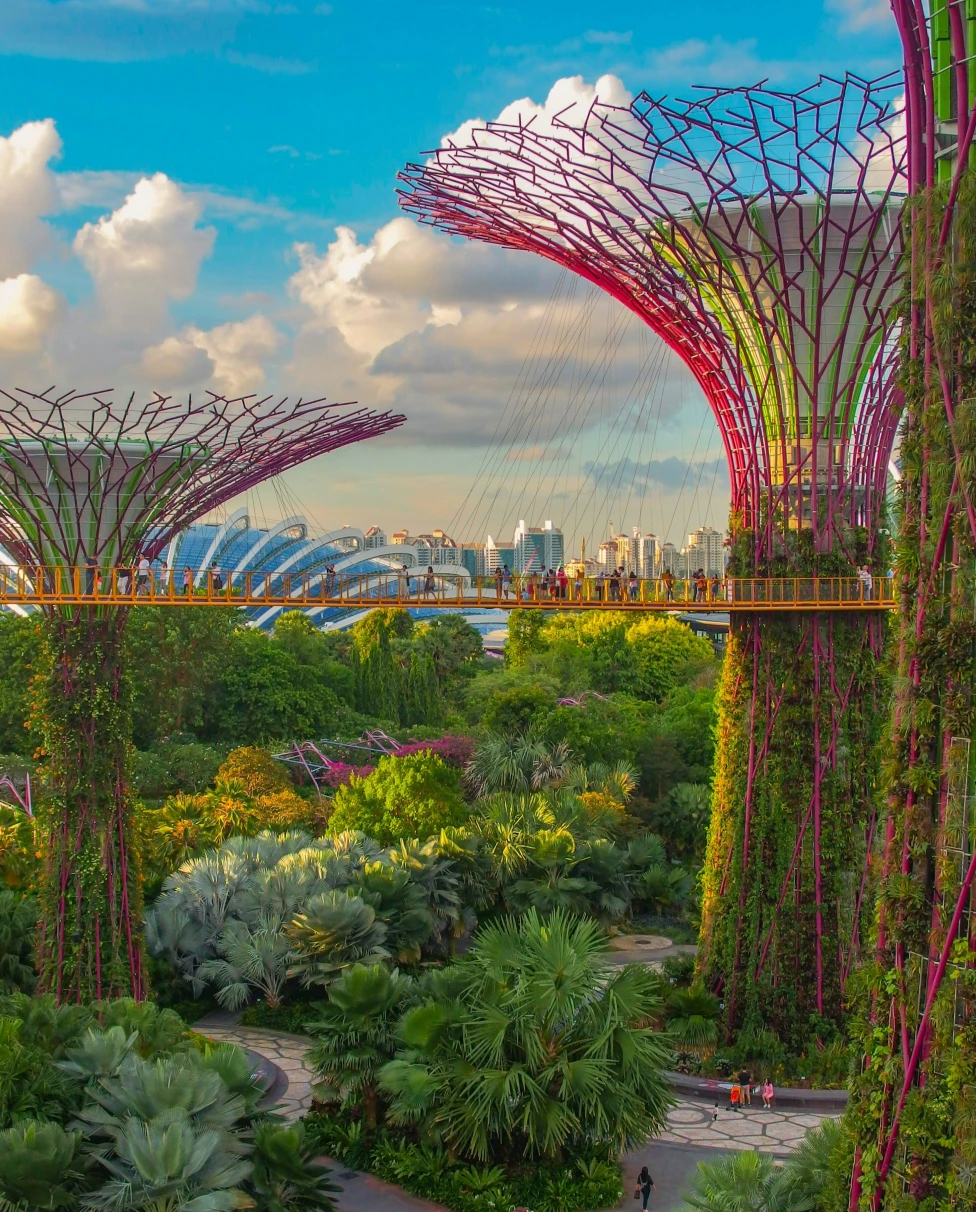 Advisor - From Hawker Stalls to Sky Gardens: Finding Magic in Singapore