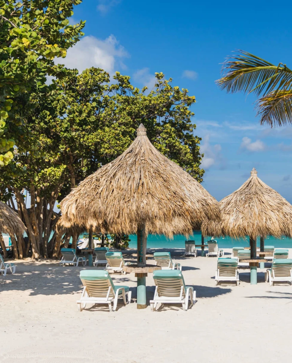 Advisor - Relaxing in Paradise: Boutique Guide to a Luxury Aruba Getaway
