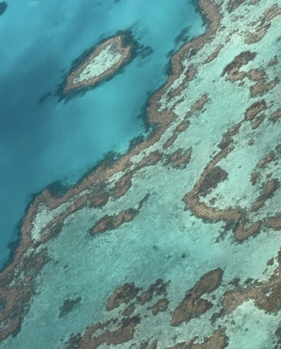 Advisor - Adventures in Australia