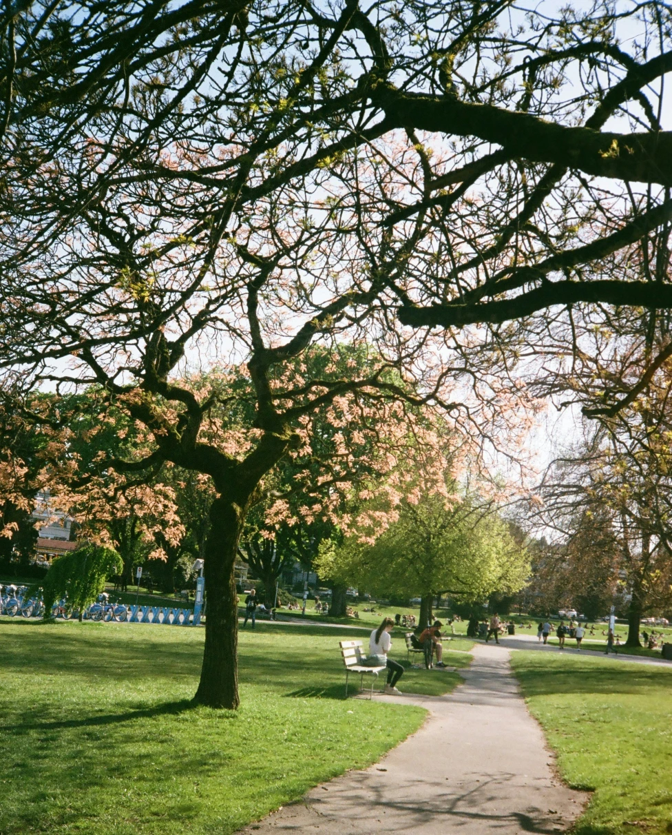 Advisor - Primrose Hill Done Properly