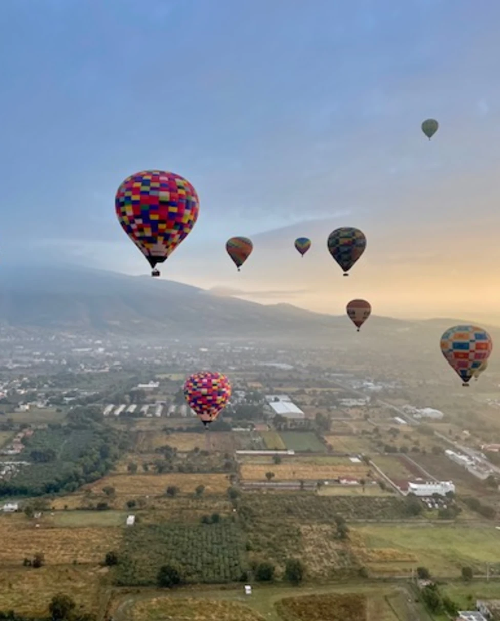 Advisor - Mexico City Mastered: A Curated Guide to CDMX