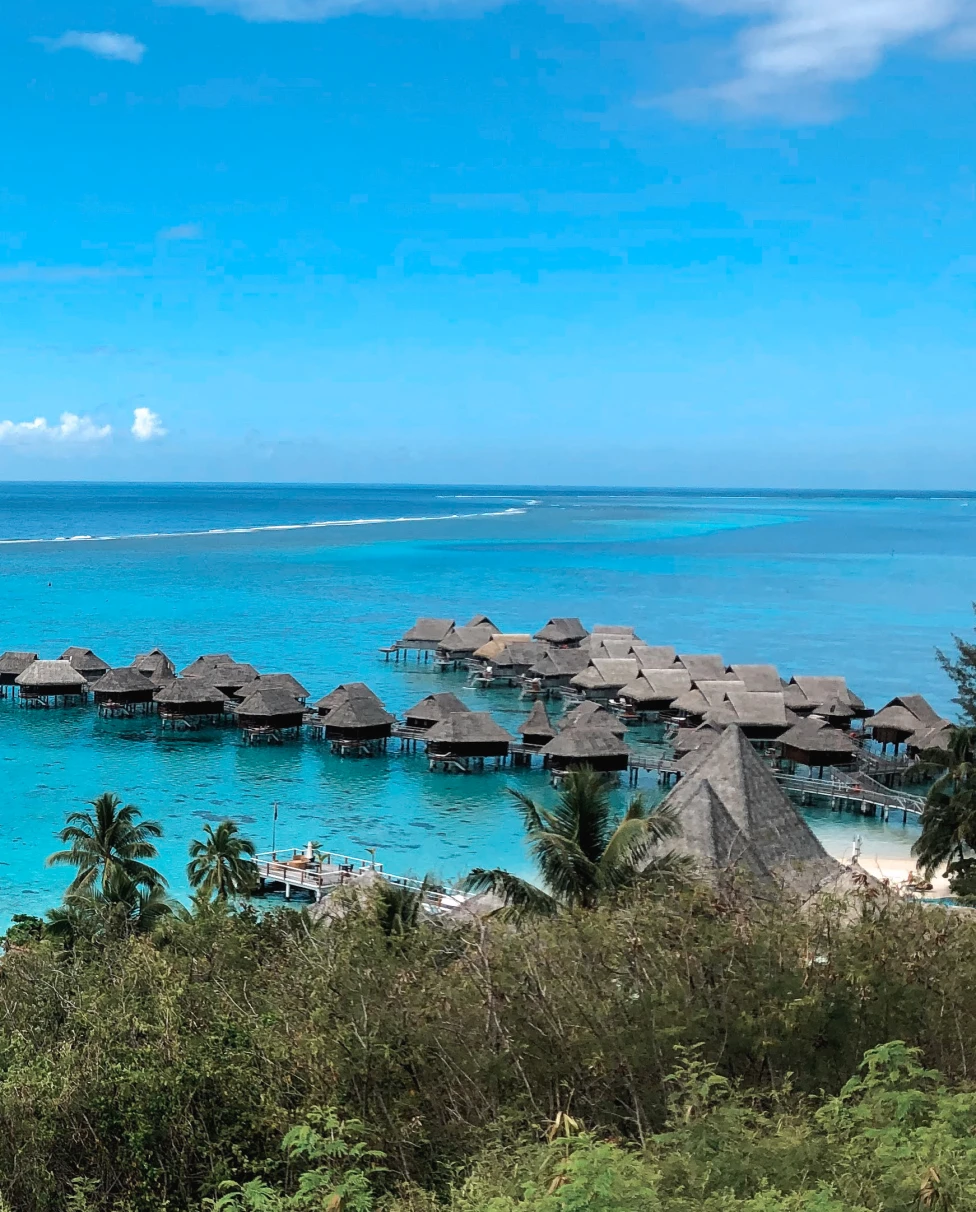 Advisor - A Local's Guide to Magical Mo'orea