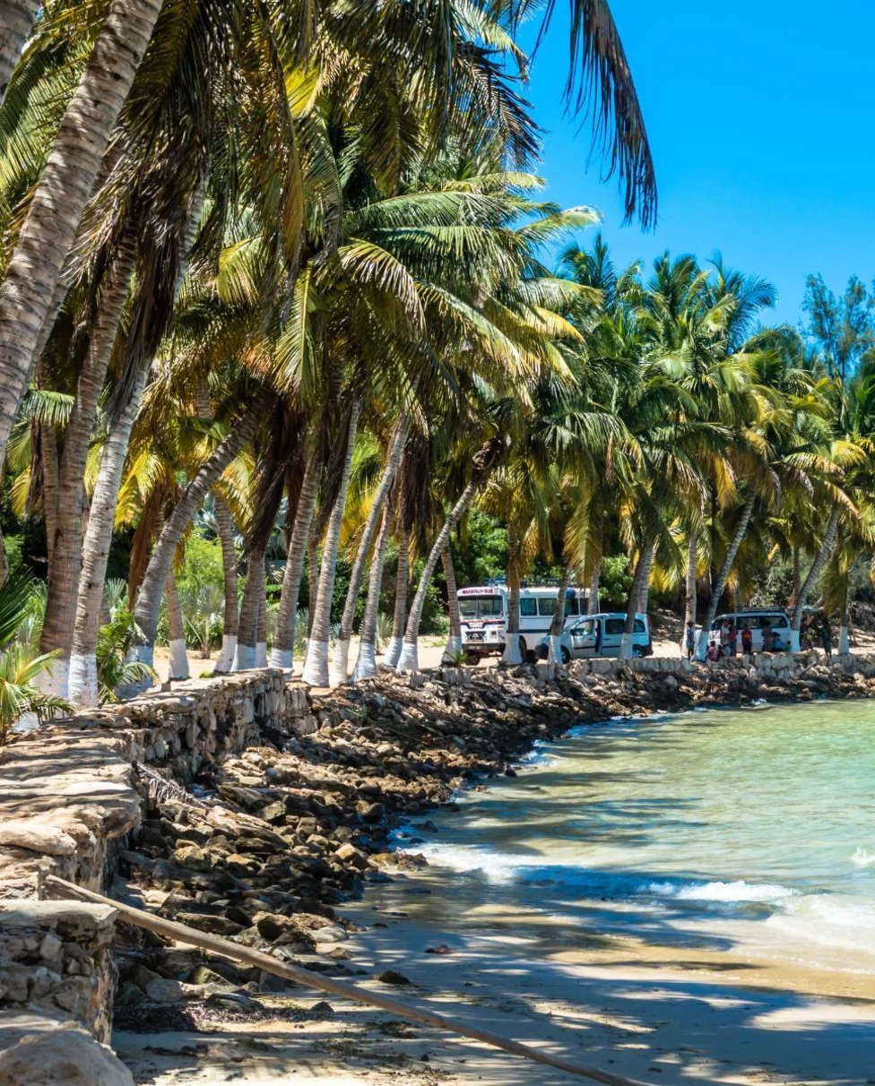 Advisor - Nature Escape Guide in Madagascar