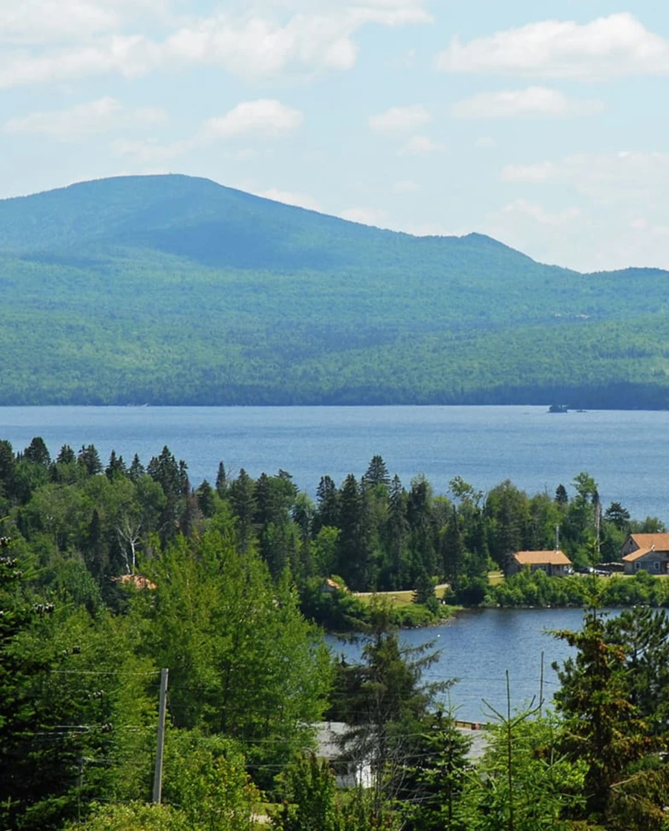 Advisor - Step Into the Woods: New Hampshire's Great North Woods