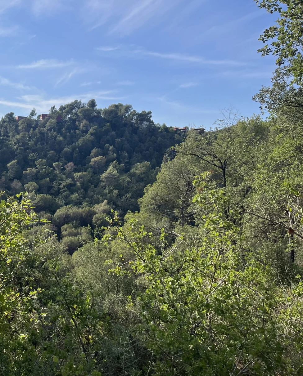 Advisor - Late Summer in Catalonia: Barcelona, Girona, Costa Brava & the Catalan Countryside