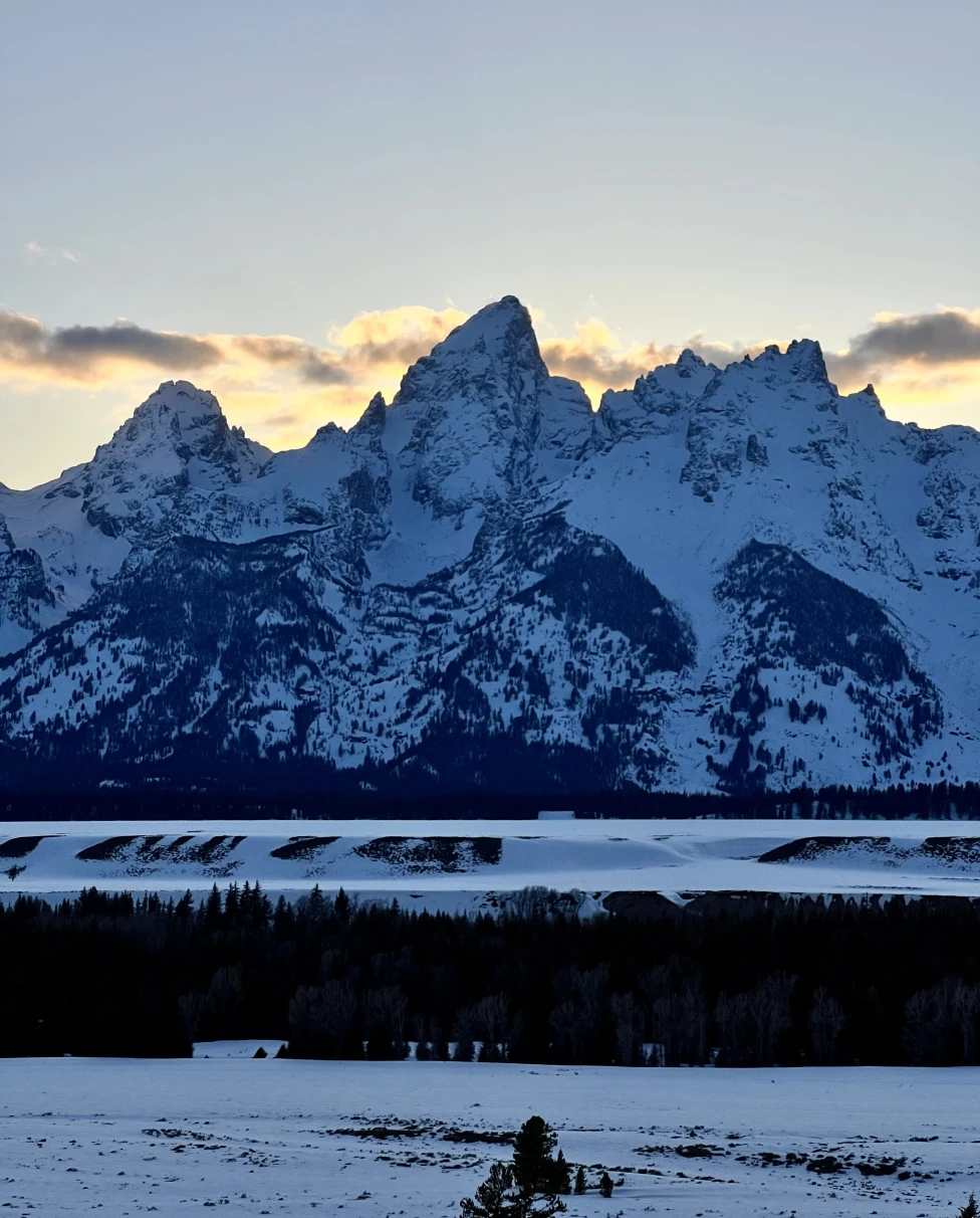 Advisor - Wild in Wyoming: A Guide to Jackson Hole and the Grand Tetons