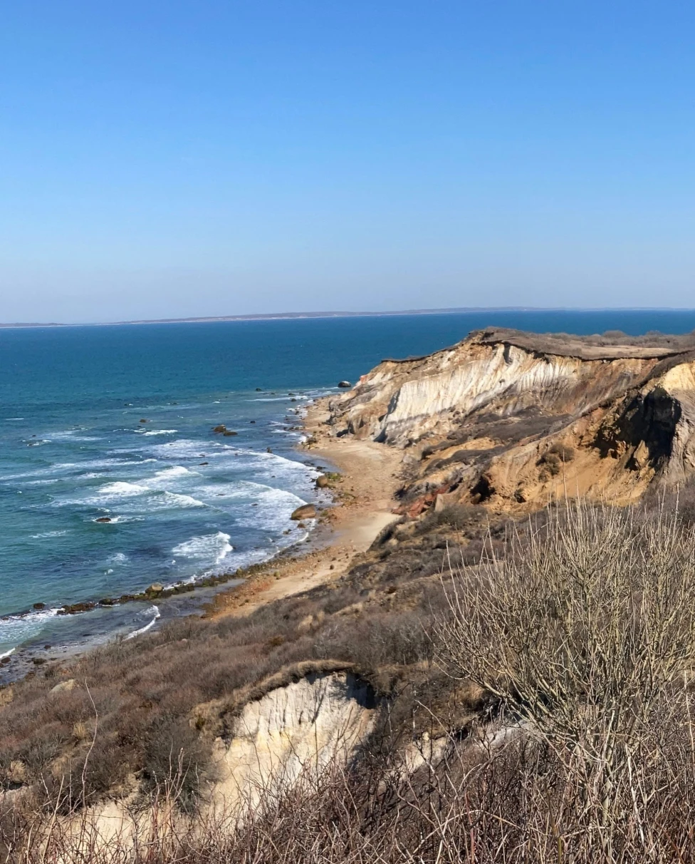 Advisor - Martha’s Vineyard, All Year Long: A Love Letter to Every Season
