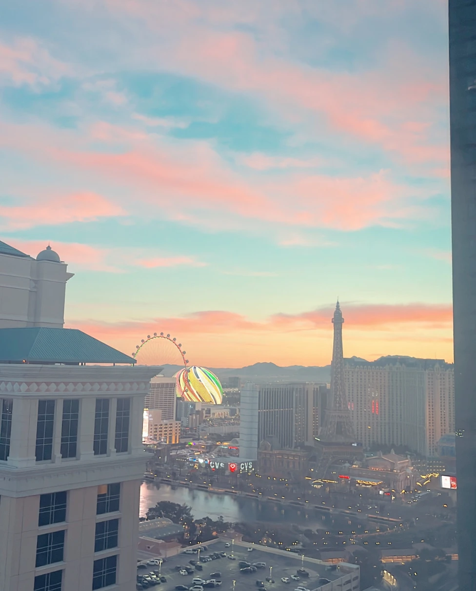 Advisor - High Stakes, Plant-Based: A Vegan Guide to Las Vegas