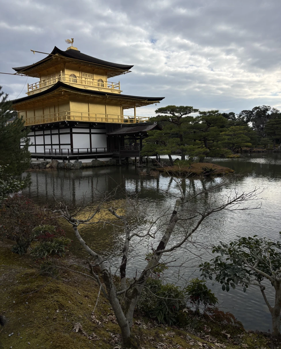 Advisor - Japan for Families