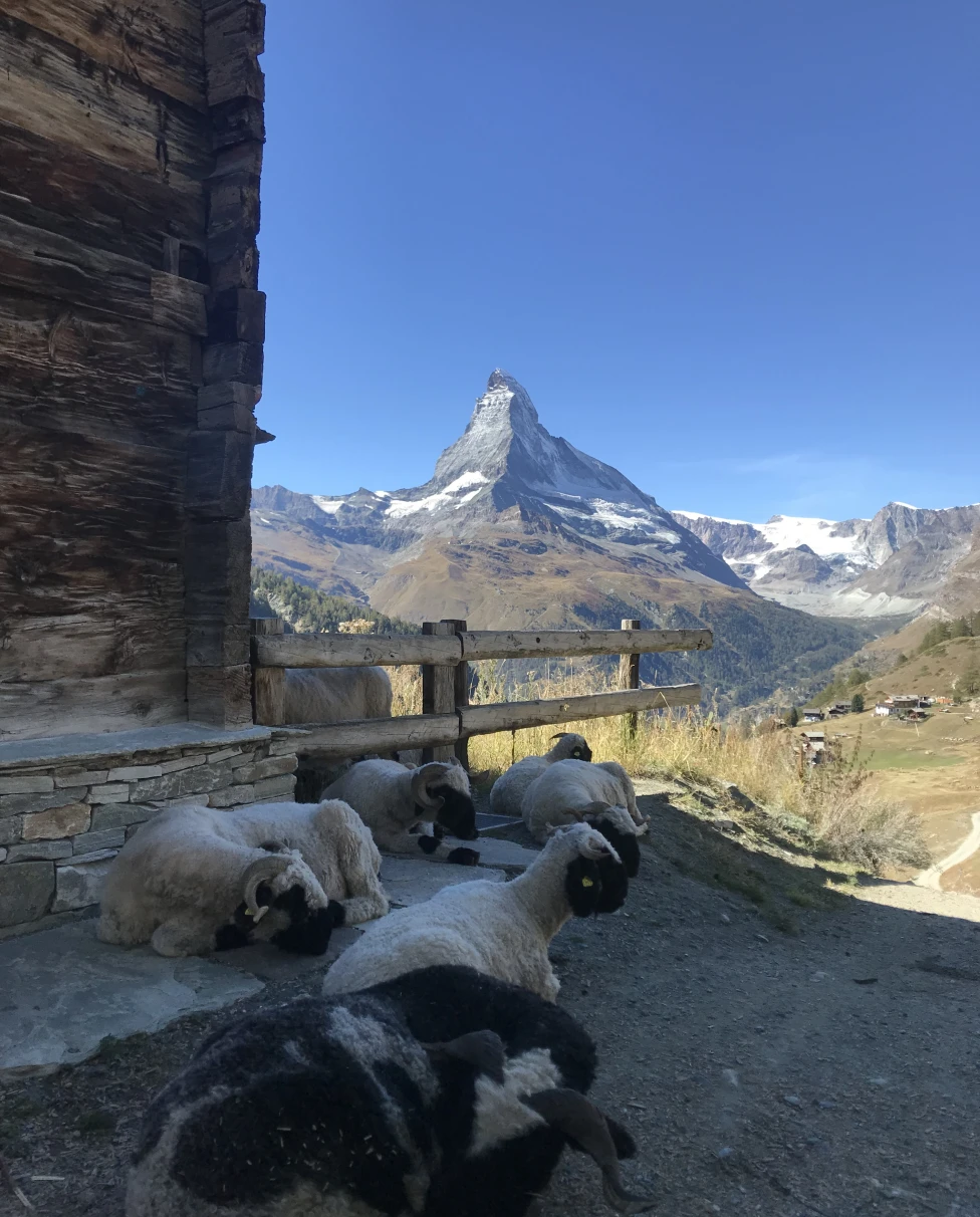 Advisor - The Swiss Grand Tour: A Non-Cookie-Cutter Honeymoon to Bern, Mürren, Zermatt & Montreux