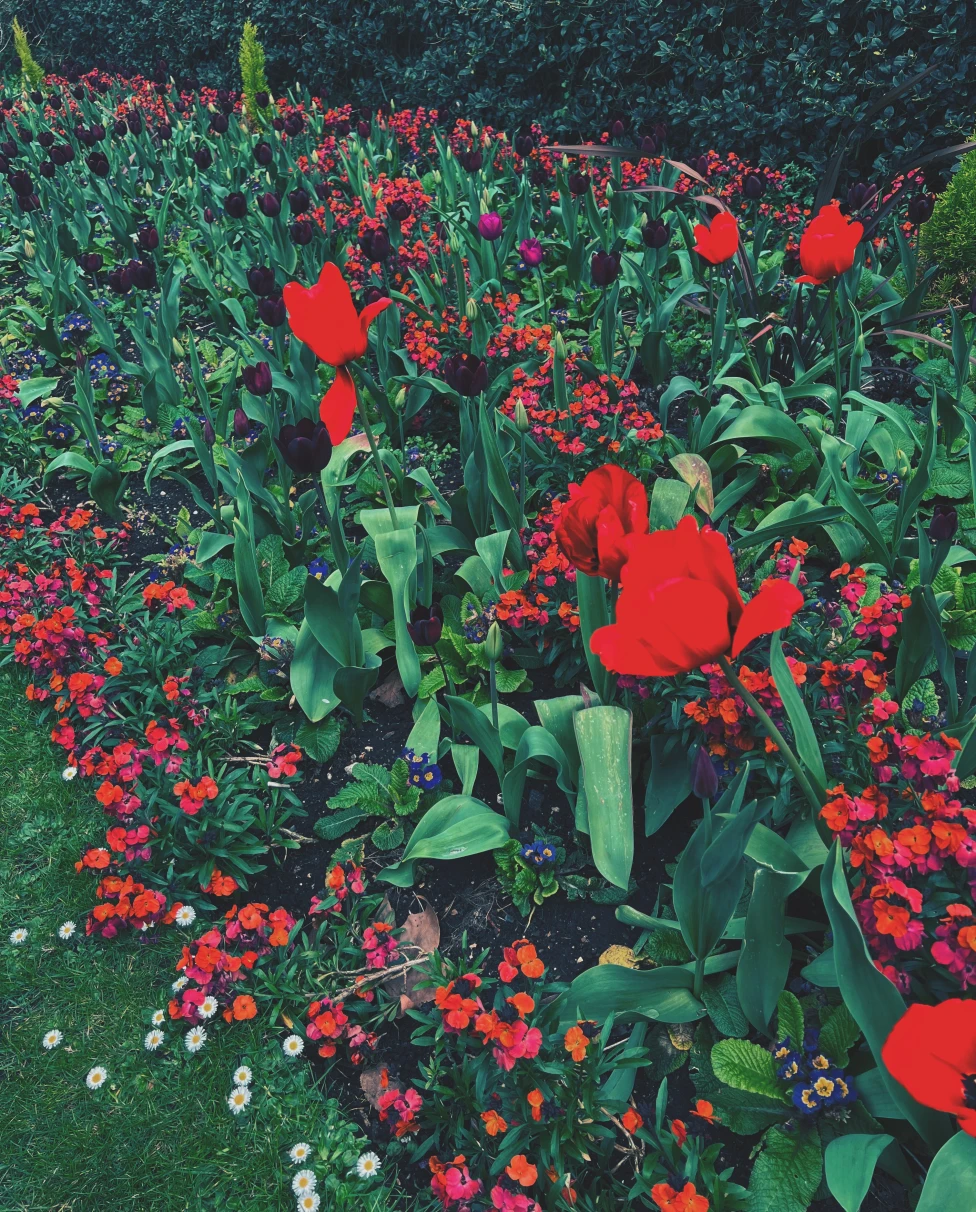 Advisor - London in the Spring