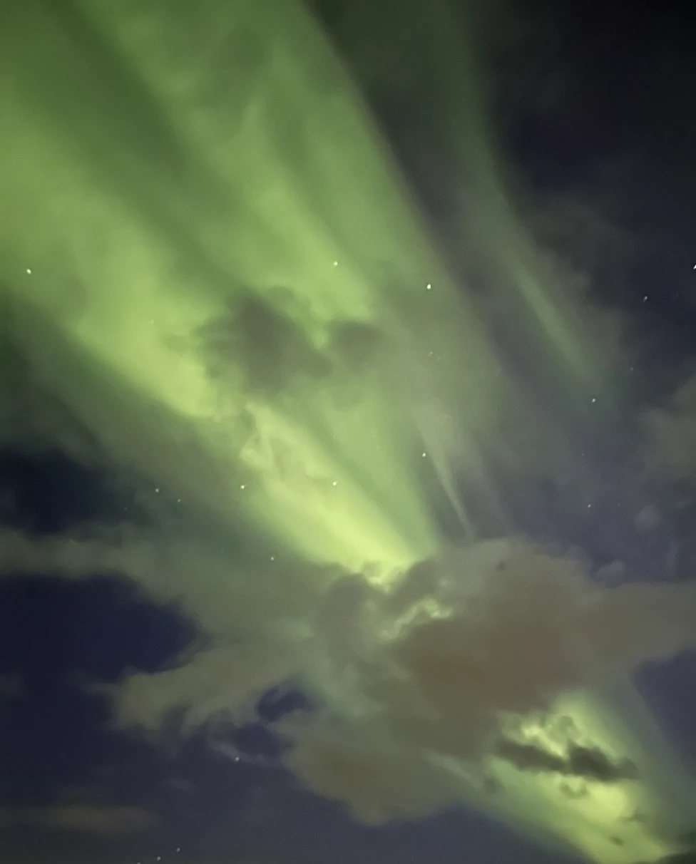Advisor - Tromsø, Norway's Northern Delights