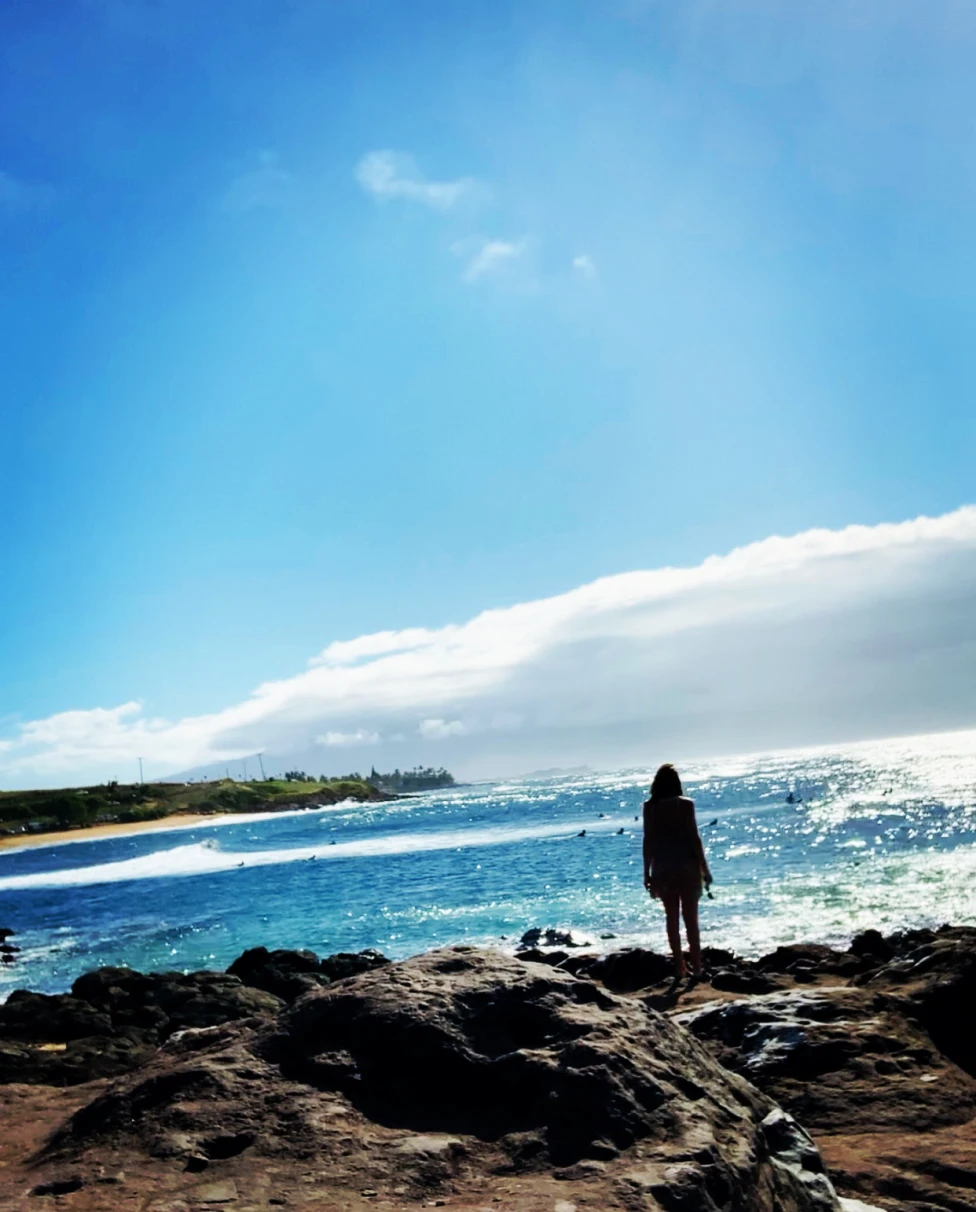 Advisor - The Ultimate Maui Guide