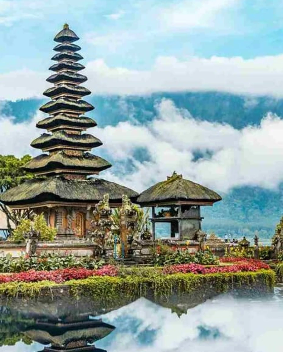 Advisor - The Ultimate Balinese Family Experience