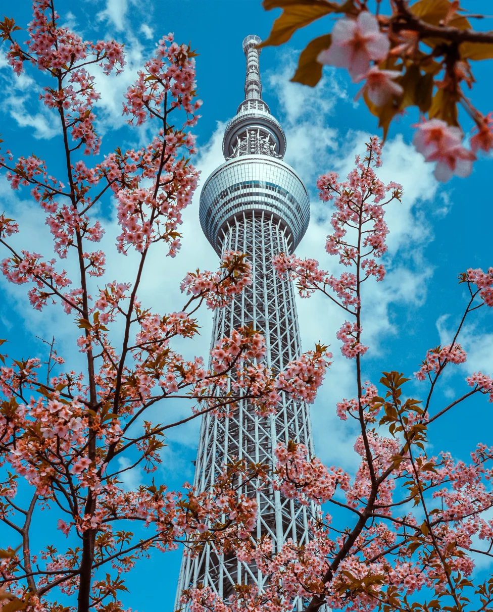 Advisor - Tokyo Travel Gold: Landmarks, Local Eats & Hidden Streets You Can’t Miss