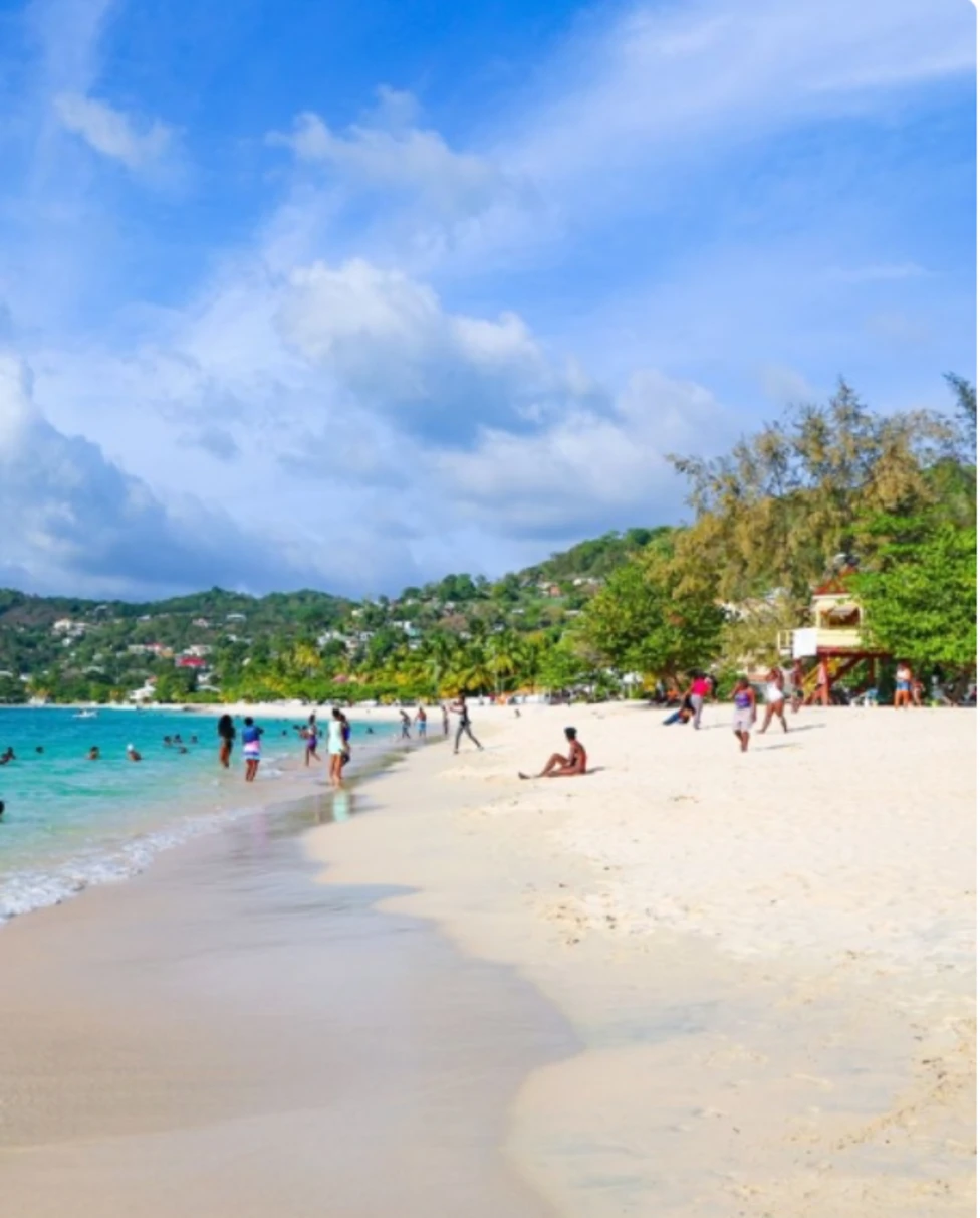 Advisor - Grenada: The Spice Isle of the Caribbean