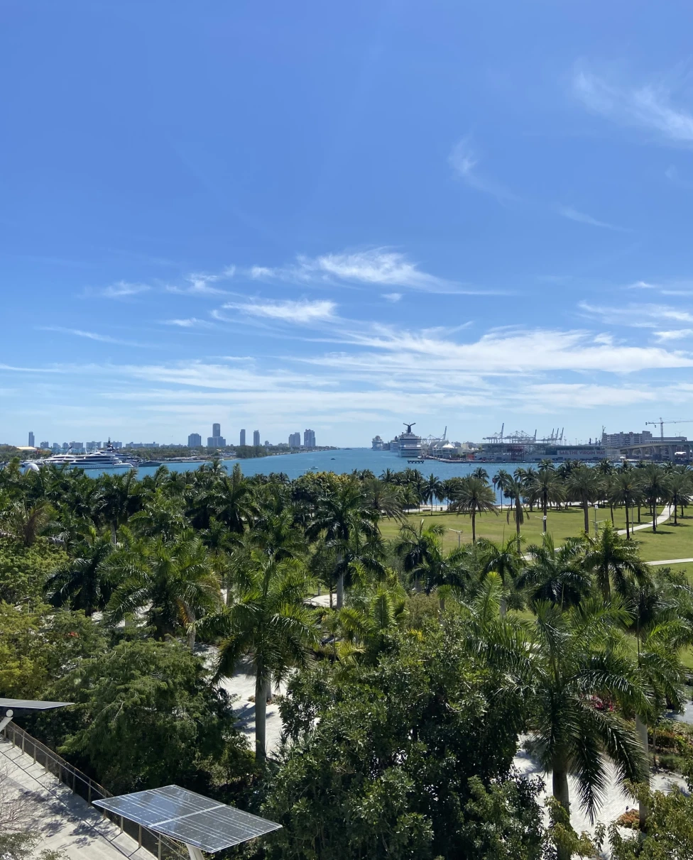 Advisor - A Floridian’s Guide to Miami