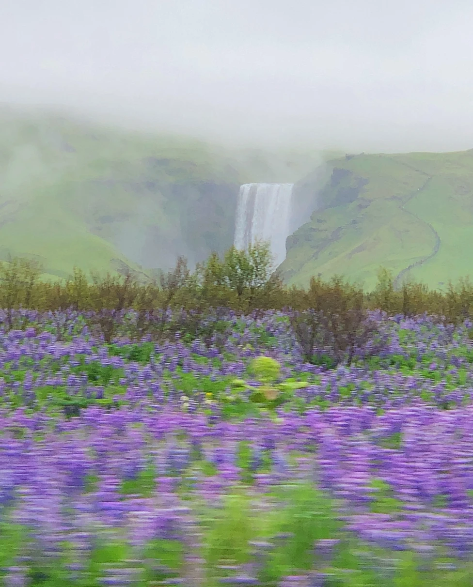 Advisor - Iceland: The Ultimate Bucket List Destination