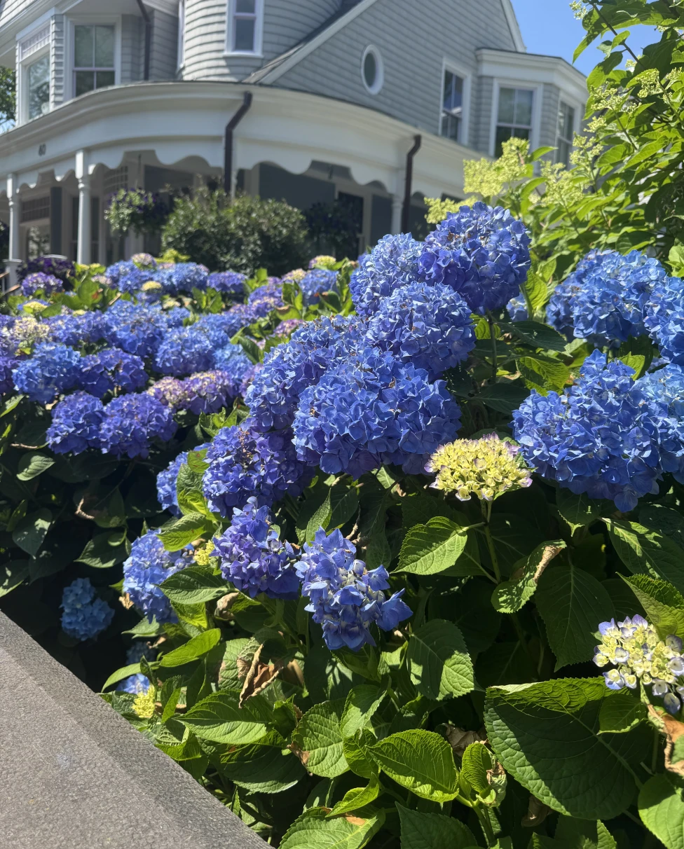 Advisor - Weekend Getaway to Newport, Rhode Island