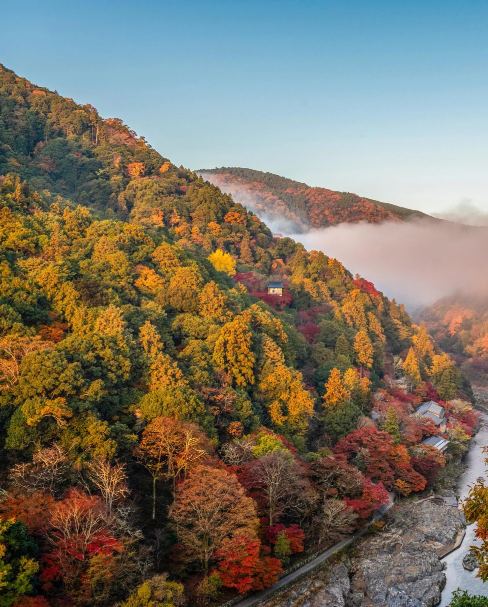 Advisor - A Guide to Autumn in Japan: Tokyo & Kyoto