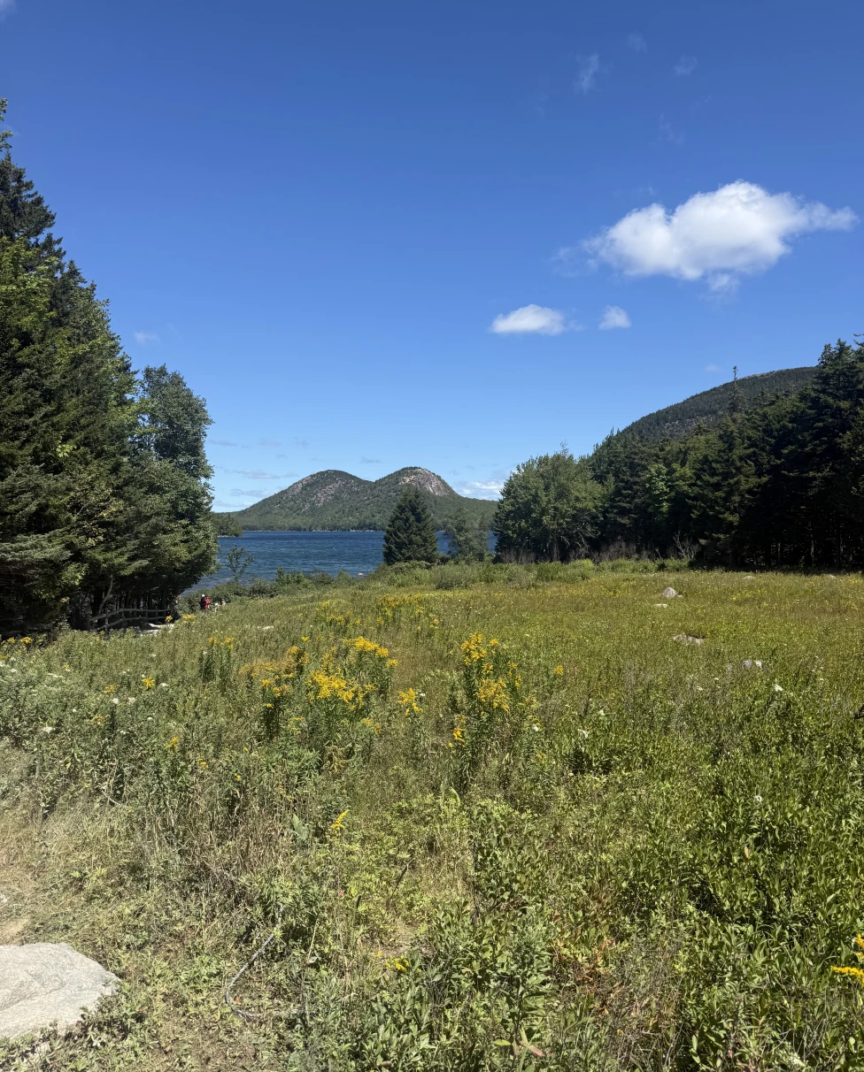 Advisor - The Ultimate Guide to Bar Harbor & Acadia National Park