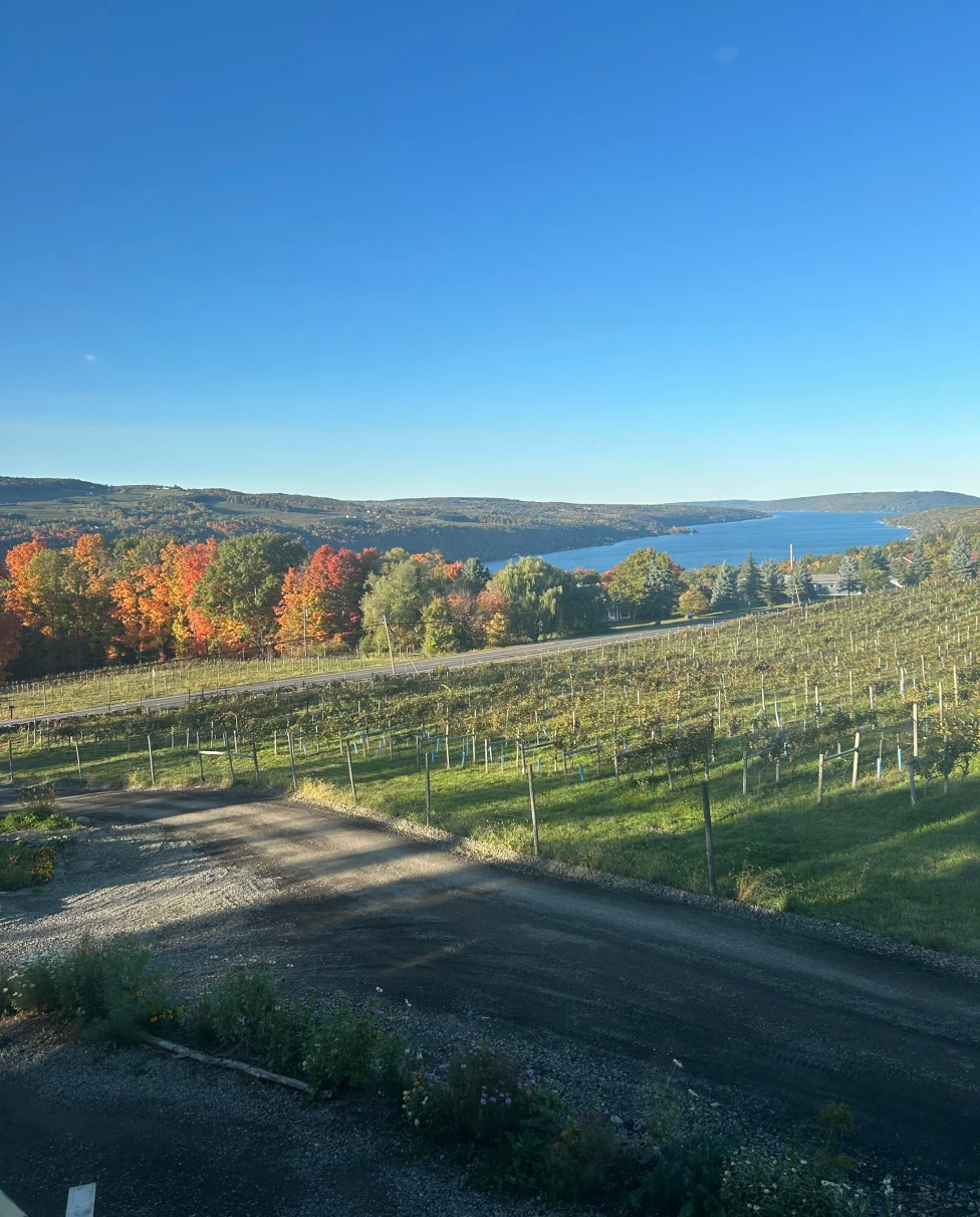 Advisor - Wine, Waterfalls and Wandering - Exploring New York's Finger Lakes Region