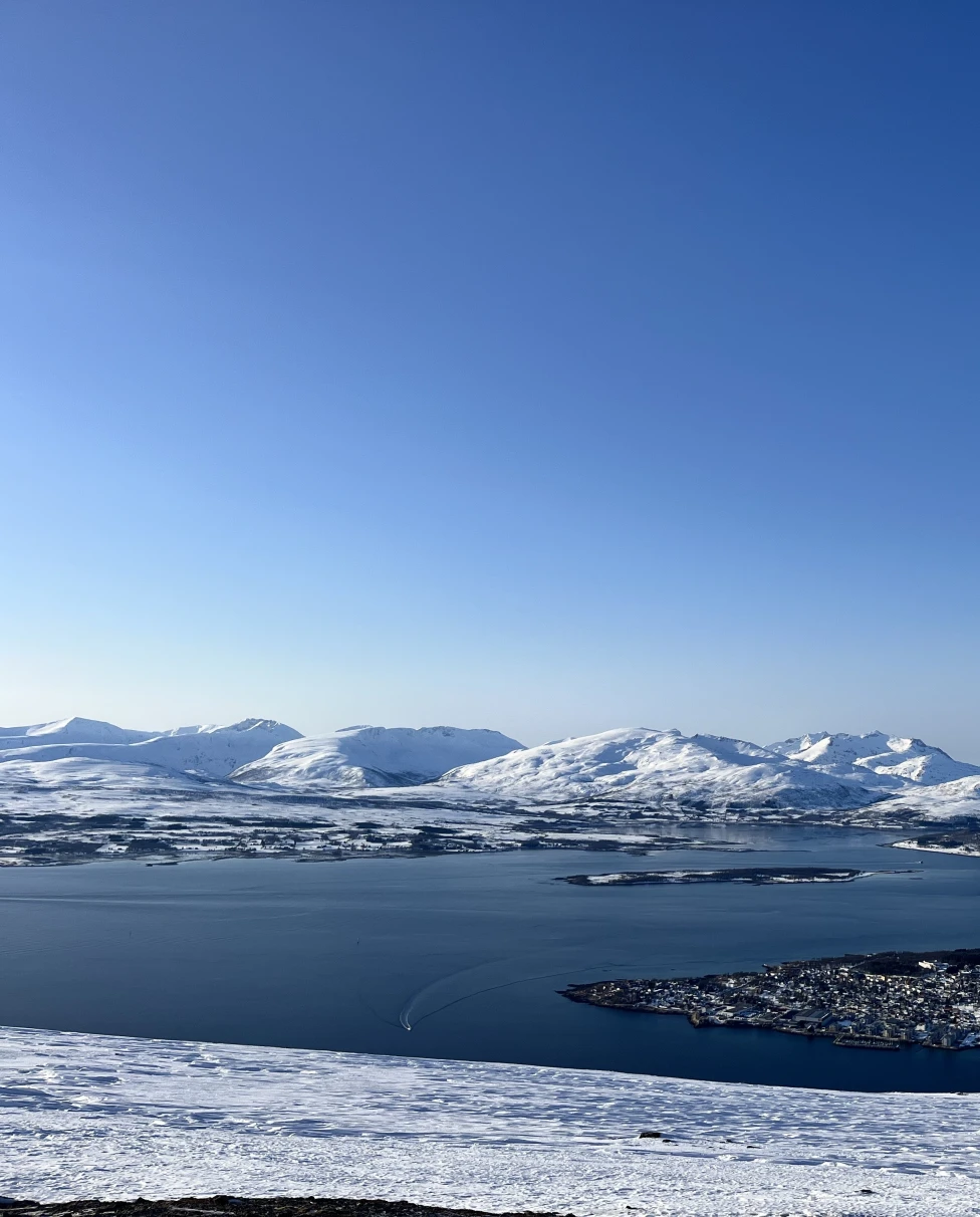 Advisor - See Tromsø, Norway