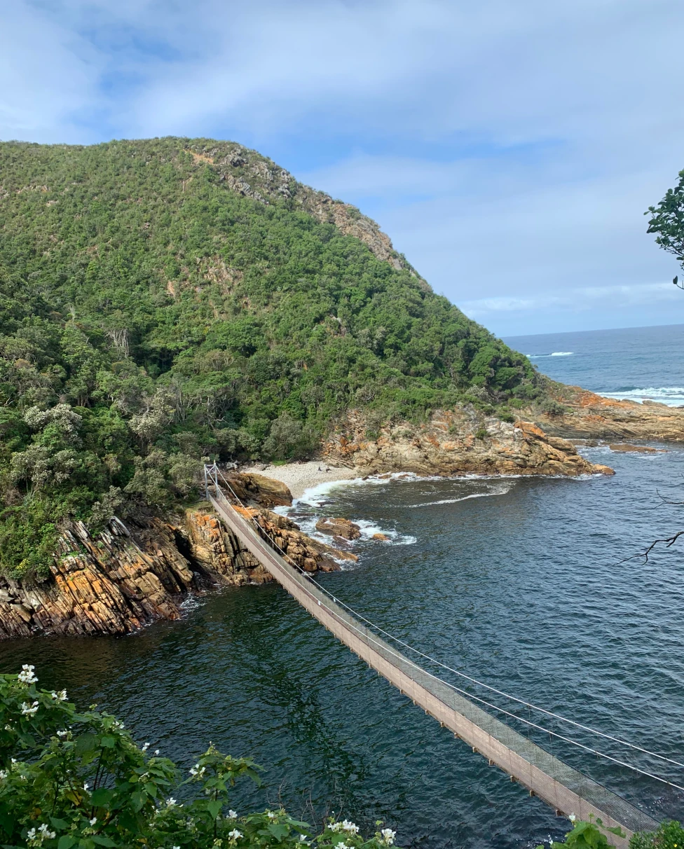 Advisor - A Journey Through South Africa’s Garden Route & Winelands