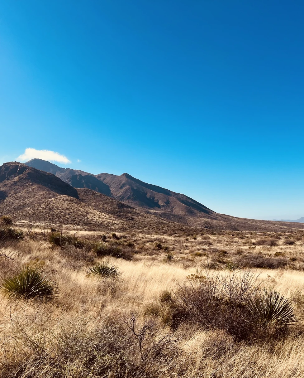 Advisor - El Paso Escape