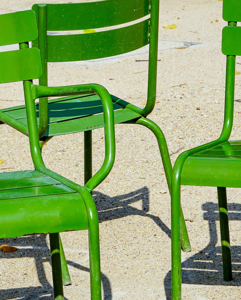 Advisor - The Zen Traveler’s Guide to Paris for Wellness Wanderers