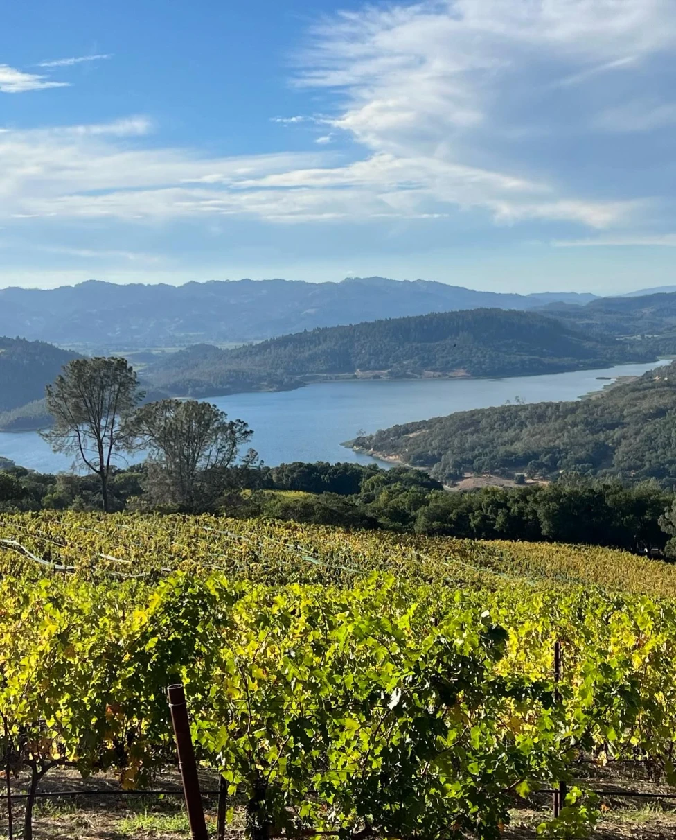Advisor - Napa Uncorked: Your Insider's Guide to California Wine Country