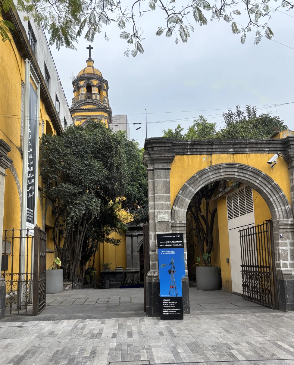 Advisor - 5 Days in Mexico City