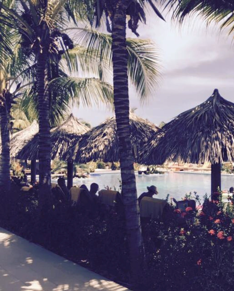 Advisor - Sun, Sand & Spice: The Ultimate Montego Bay Adventure Guide