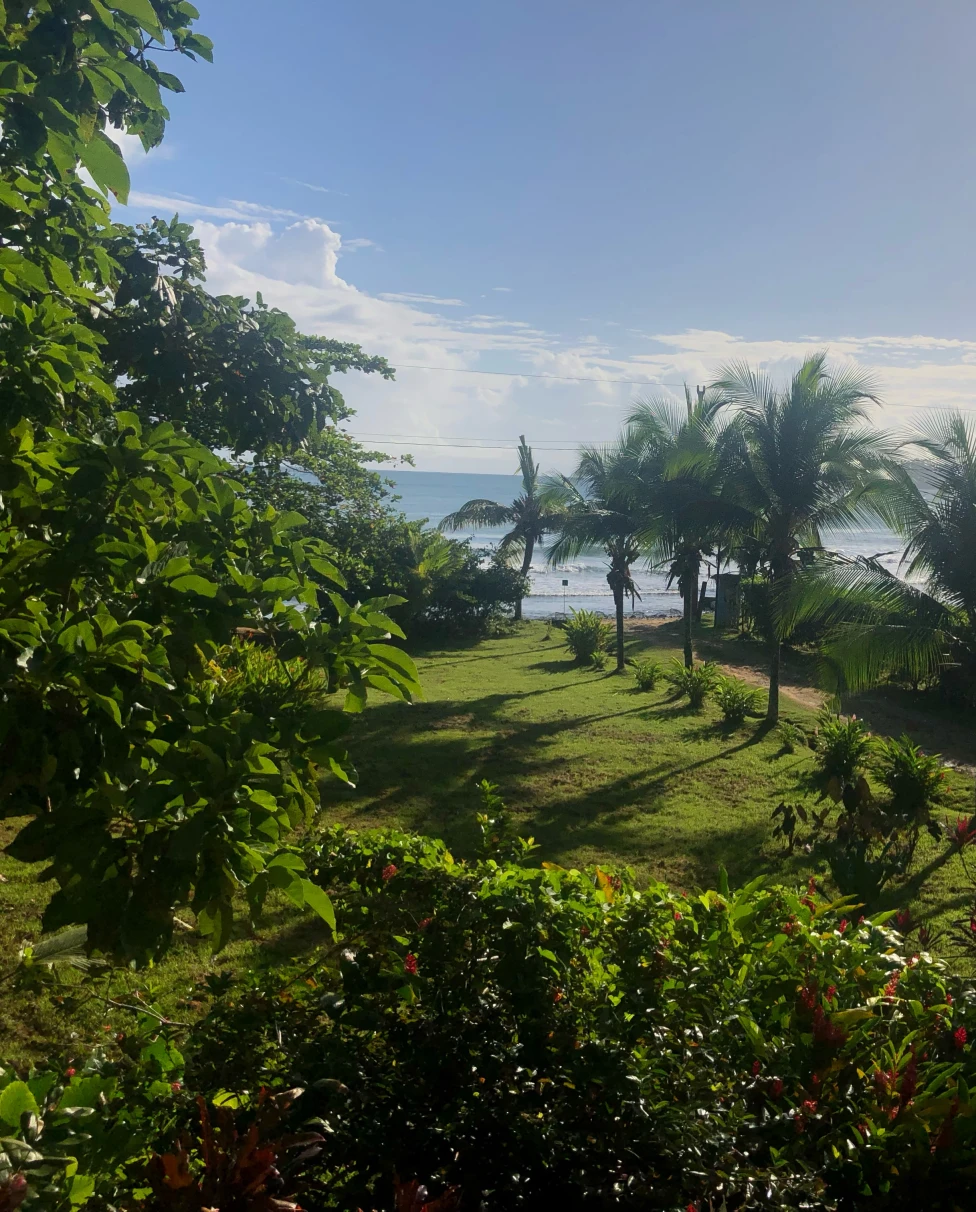 Advisor - A Guide to Bocas del Toro, Panama