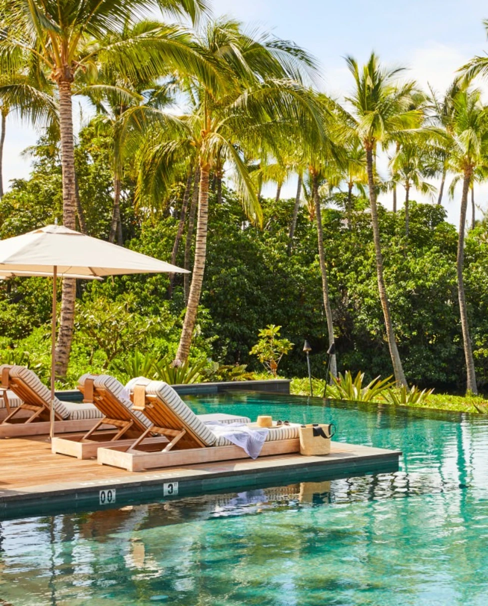 sleek infinity pool surrounded by palm trees