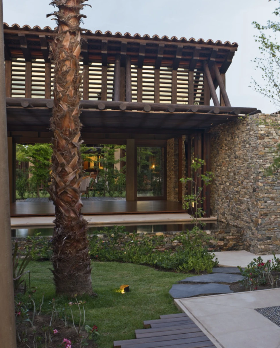 sleek architectural home  with a palm tree