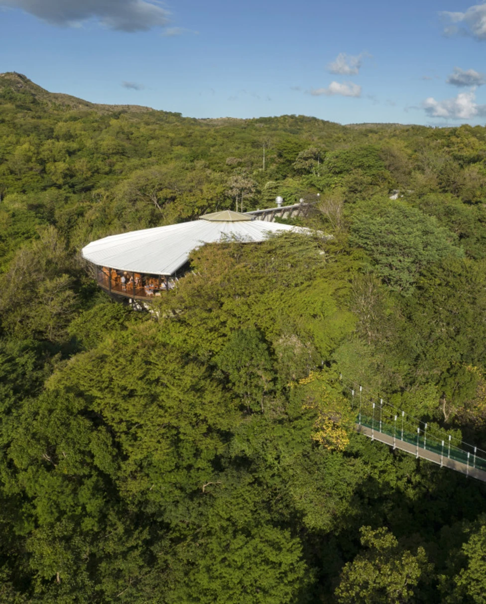 An aerial view of the jungle with the Rio Perdido hotel nestled among the foliage and an elevated bridge nearby.
