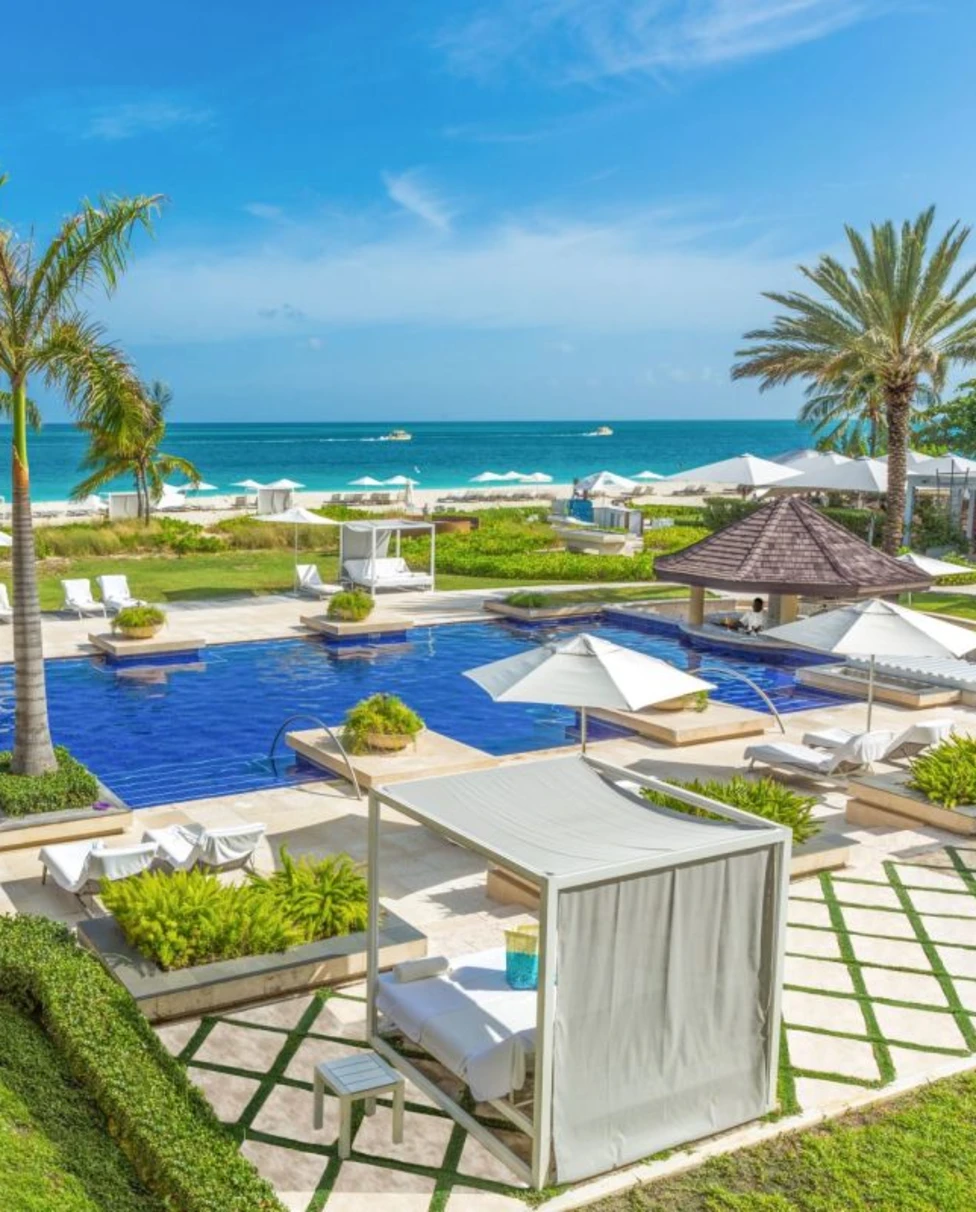 oceanfront pool patio flanked by palm trees