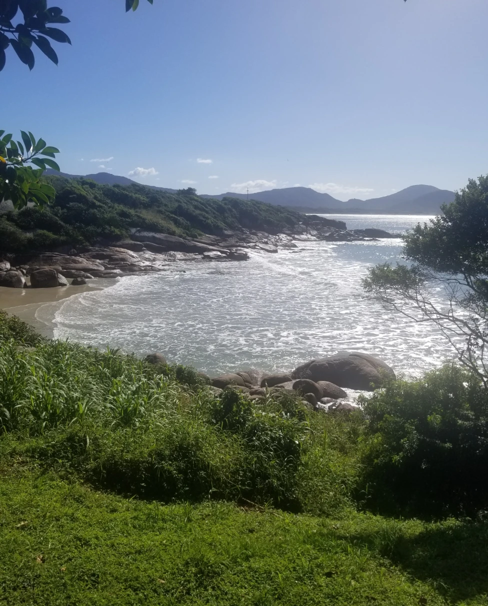 View of a beach on the river during the daytime