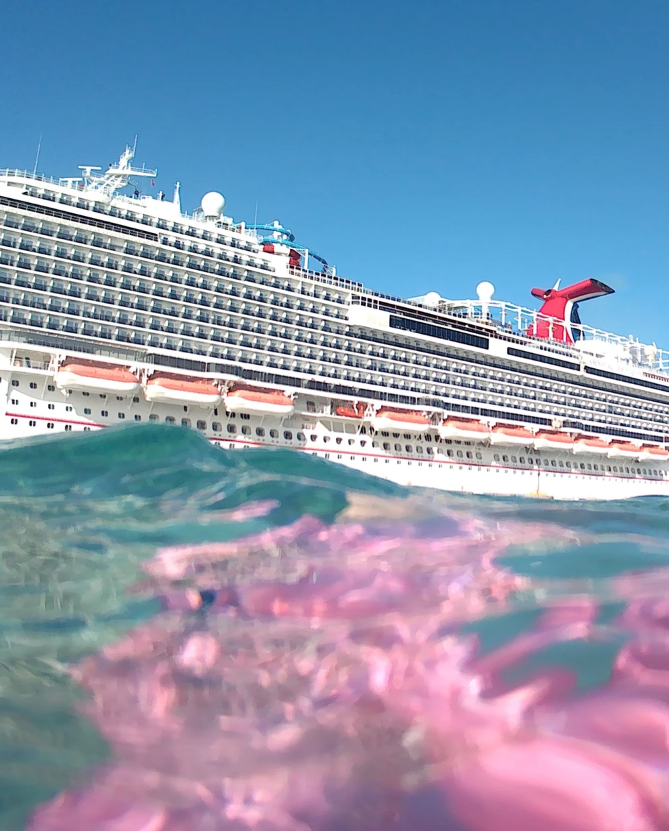 A cruise ship on water during daytime.