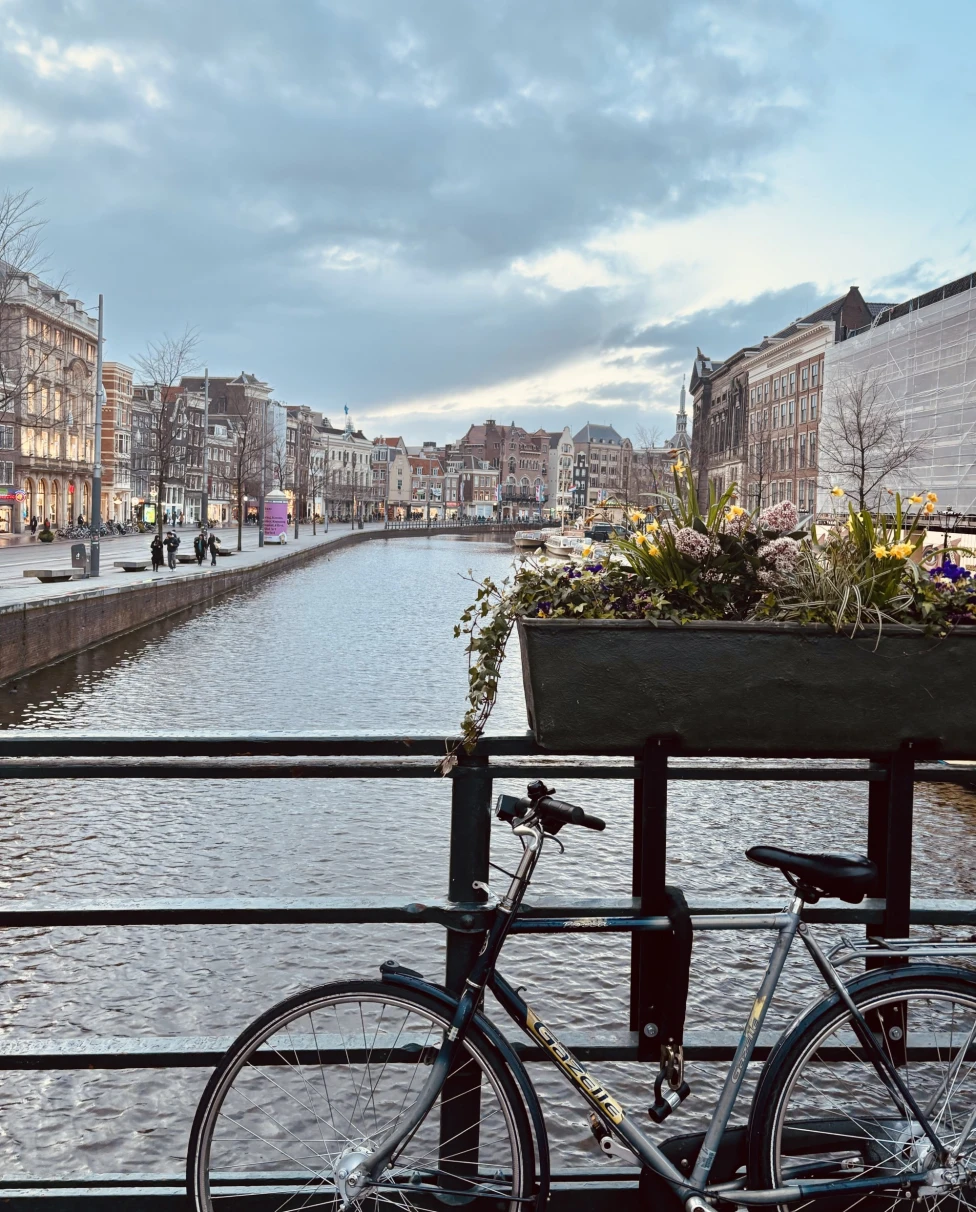 A bike parked on a bridge next to a flower planter overlooking a canal.