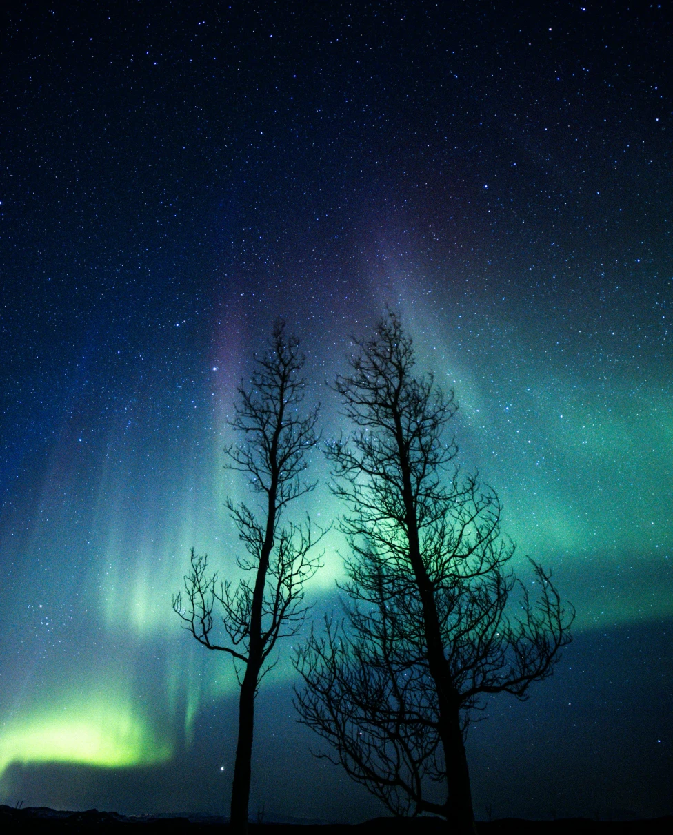 Northern lights shining in a very starry sky.