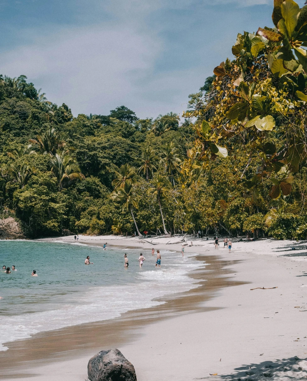 A serene beach setting with people relishing the sun and sea, encapsulated by vibrant greenery under a clear blue sky.