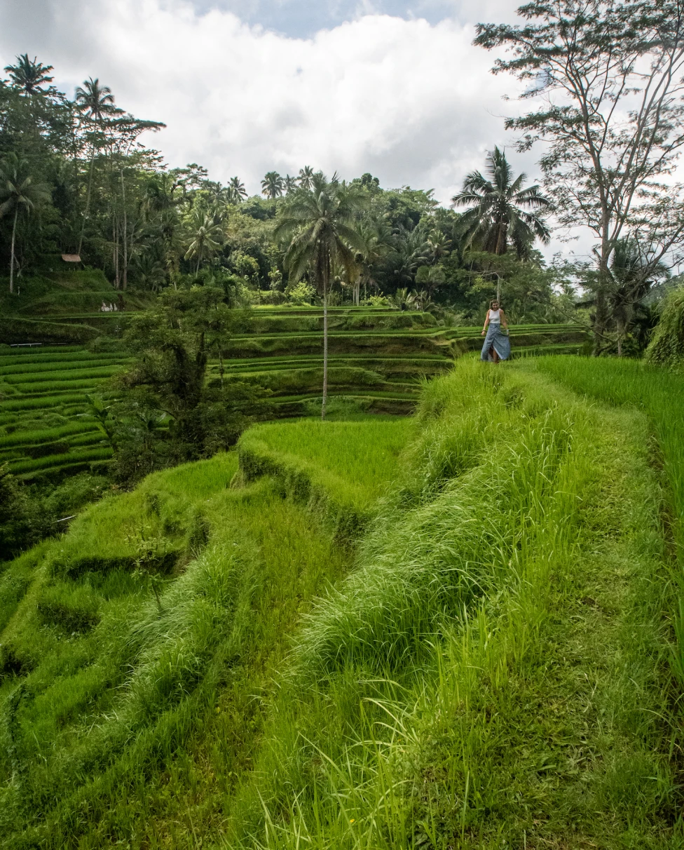 A woman is standing in a green field.