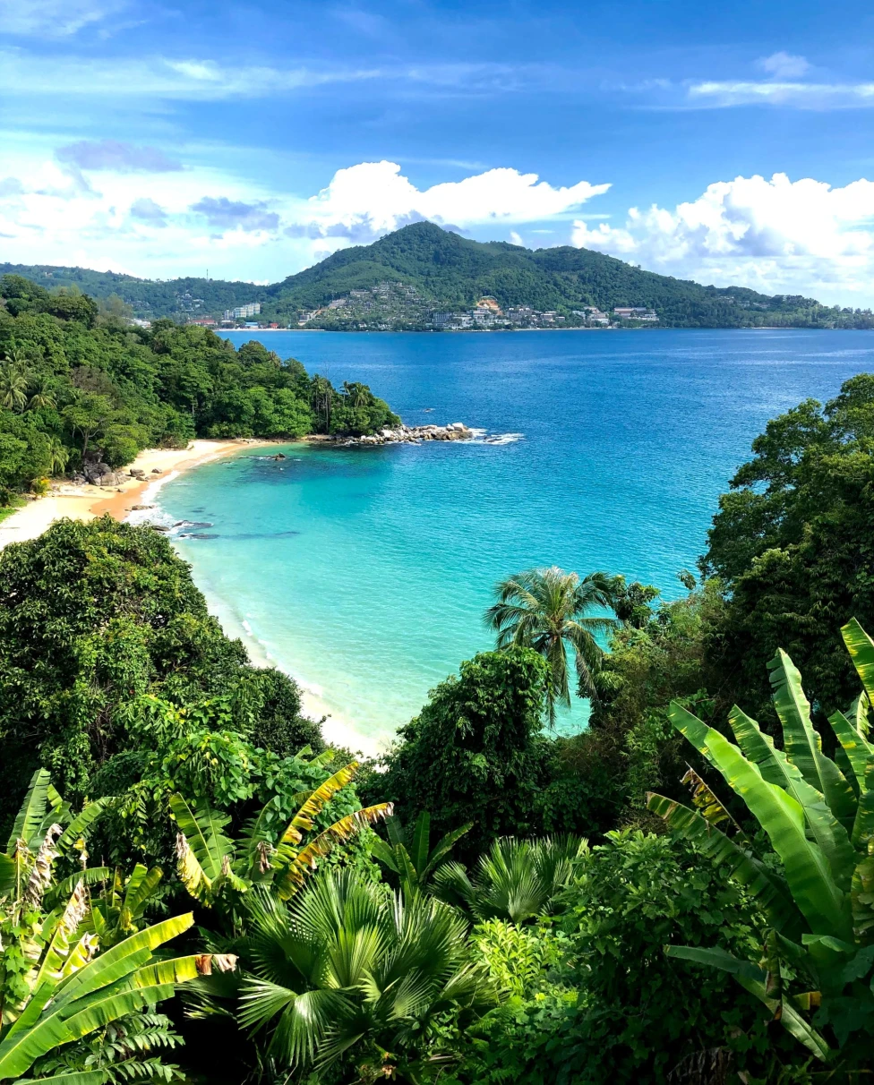 A view of tropical beach from a hill during daytime.