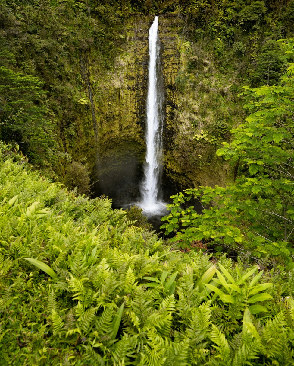 A waterfall with green hills and ferns surrounding it, near some of the Big Island restaurants.
