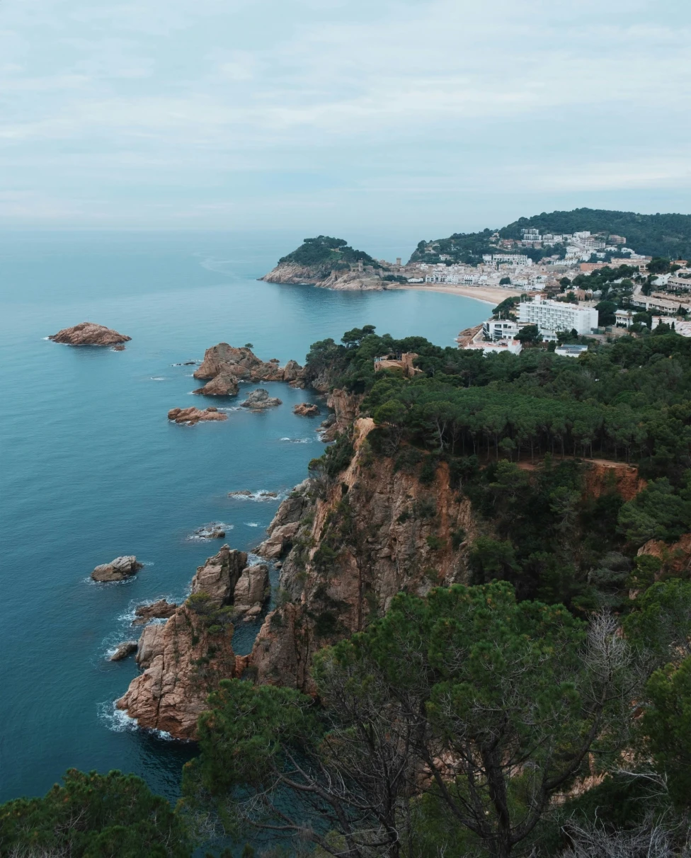 An aerial view of rock formations and trees next to the ocean.