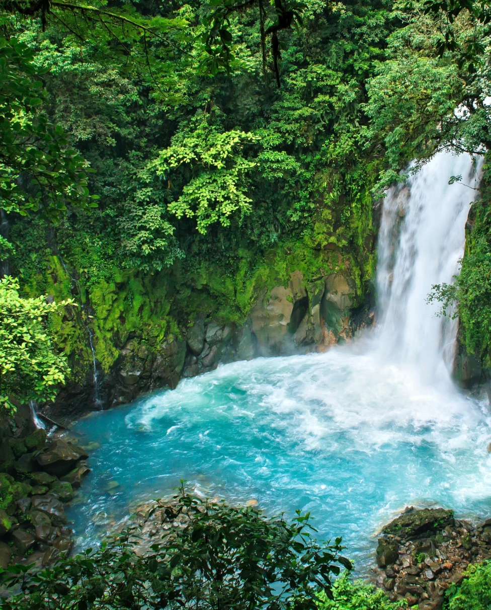 A waterfall between the forest at daytime.