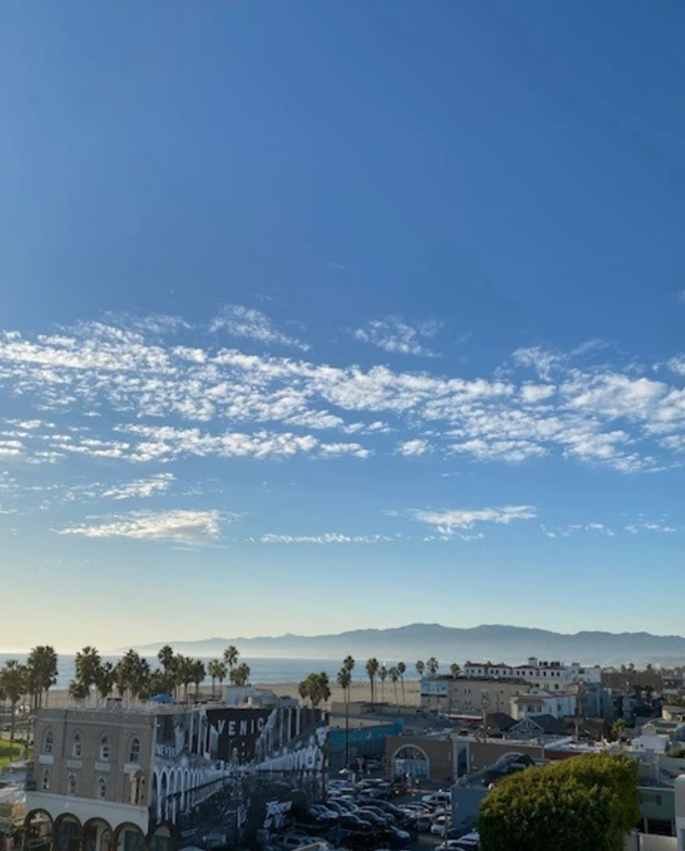 An aerial view of the city during the daytime complete with tall palm trees and mountains in the distance.